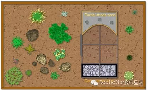 ReptileStar爬虫星球