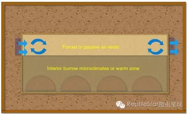 ReptileStar爬虫星球