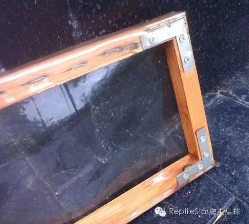 ReptileStar爬虫星球