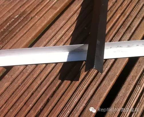 ReptileStar爬虫星球