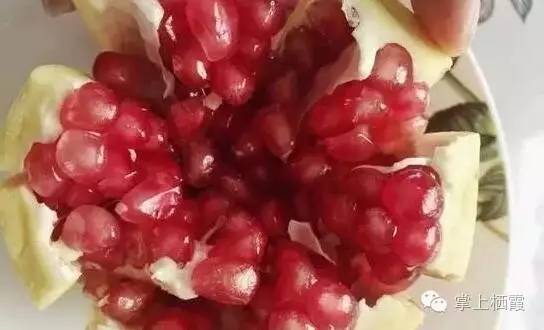 手把手教你剥石榴,教你剥石榴的小技巧