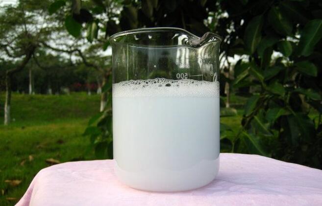 蟑螂最怕的消灭方法,家里有十多只蟑螂怎么消灭