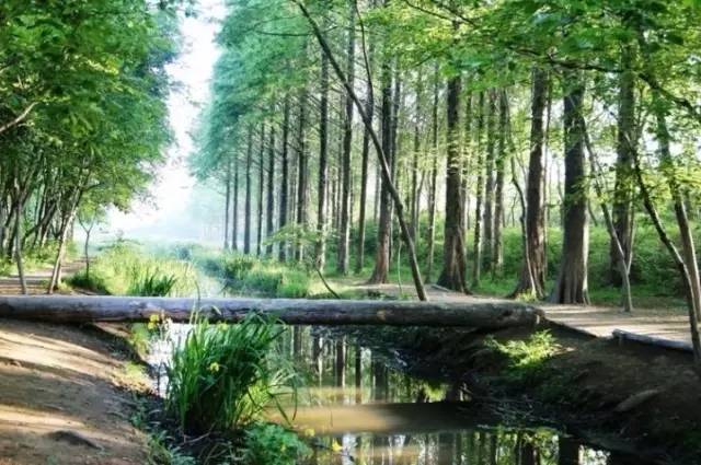 过去与现在的遇见,过去与未来的邂逅