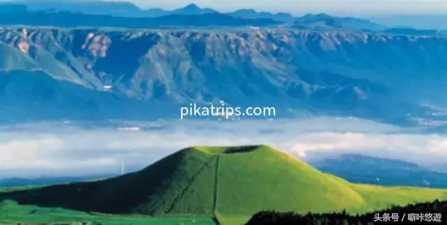 熊本熊游玩,日本熊本熊旅游