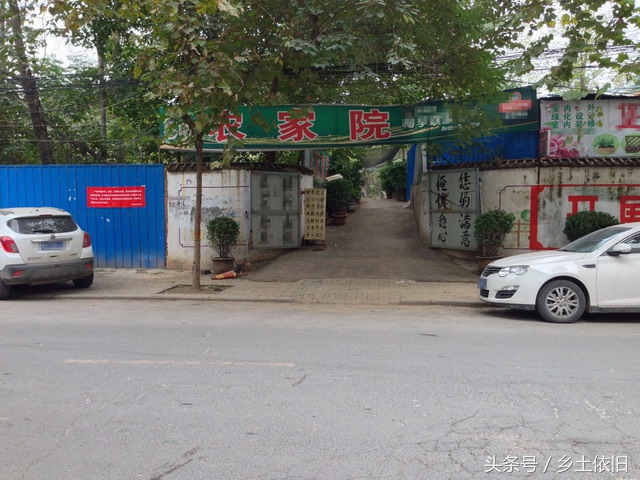 农业创业项目农村致富项目,未来十年农村致富项目