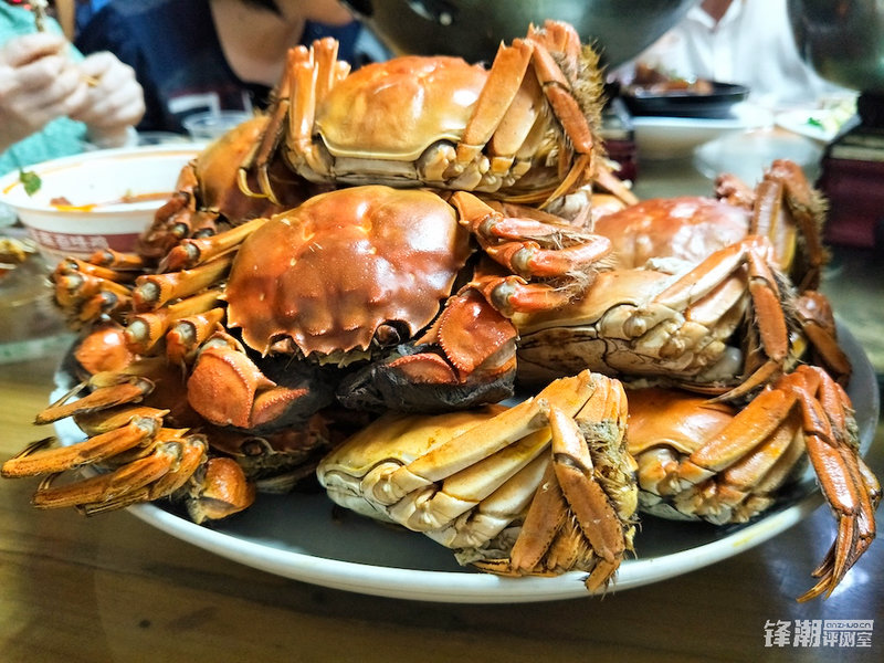轻便旅行随身拍：带着OPPOR9s记录武汉深度游