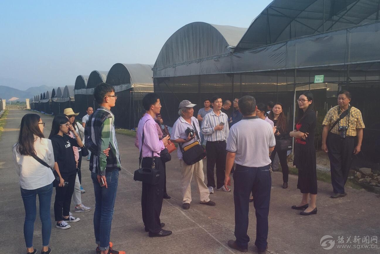 用好新媒体传递县域发展正能量——“网络大V看翁源”采风活动侧记