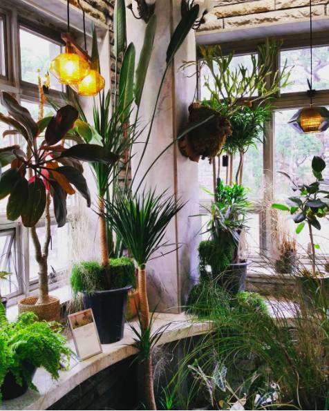 首尔梨泰院打卡,小首尔旅游打卡好去处