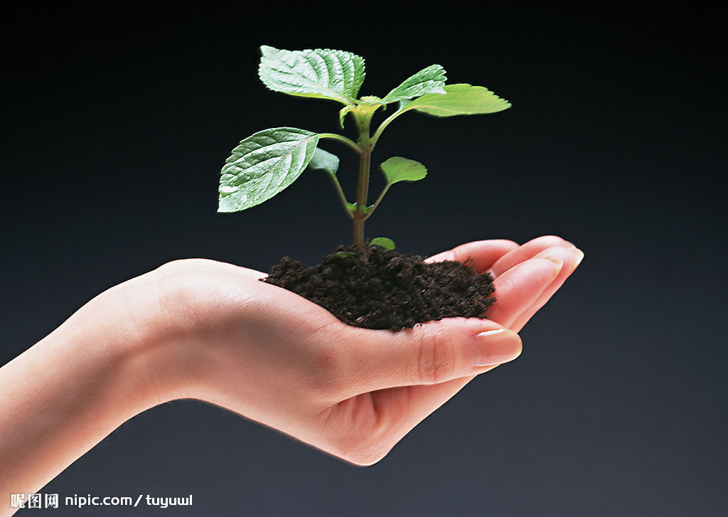 白酒酿造技术培训班,中国白酒酿造工艺