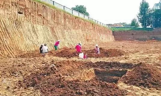 龙虎一样霸气，为何龙是中国古代帝王化身，而虎却“一事无成”？