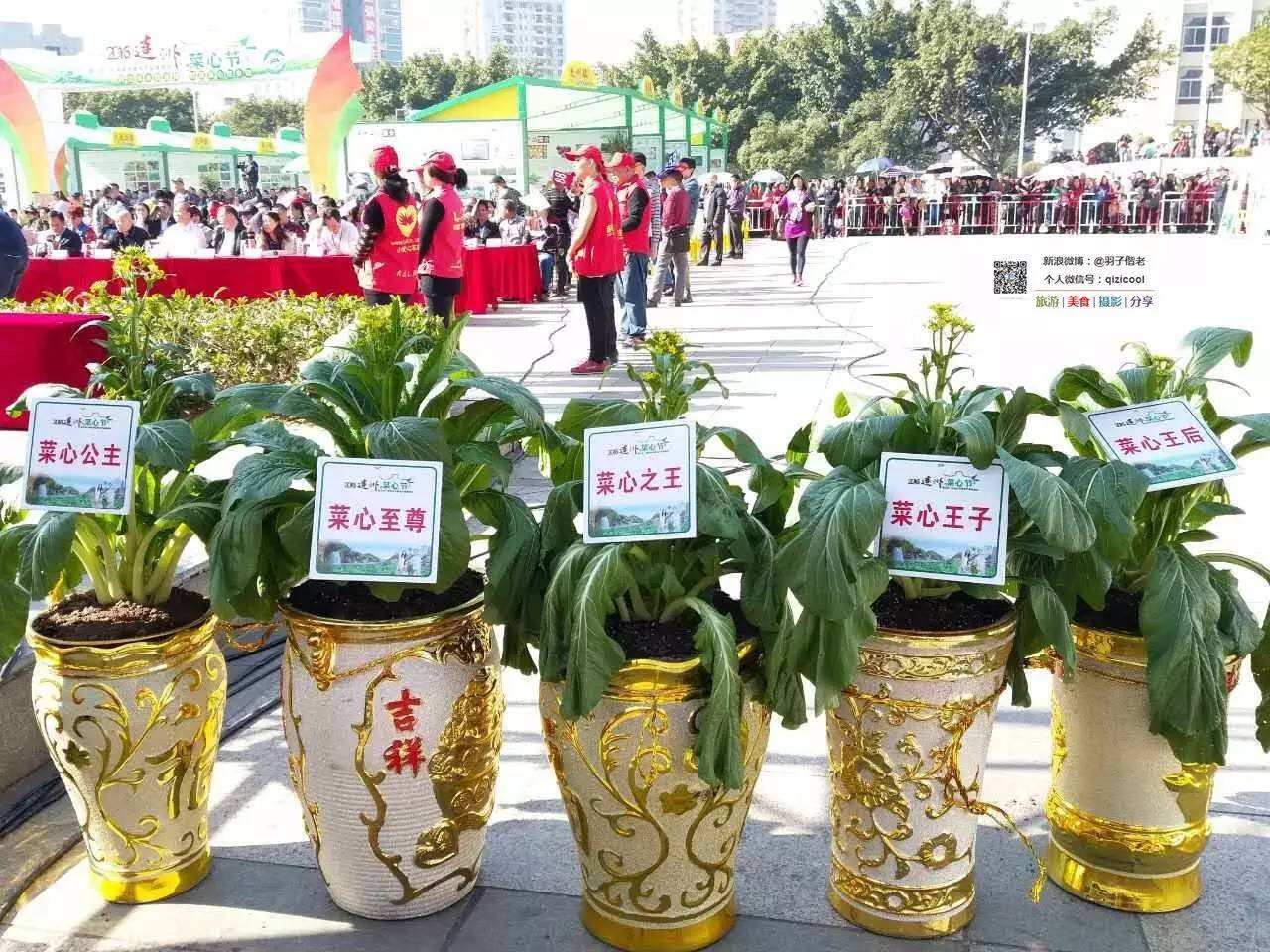 去连州有什么好玩的,清远连州旅游详细攻略