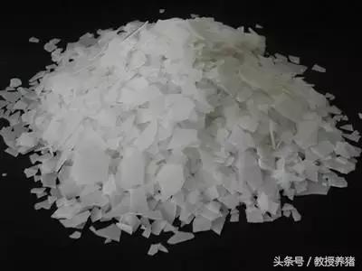 发生口蹄疫，用这两种消毒药消毒最有效！