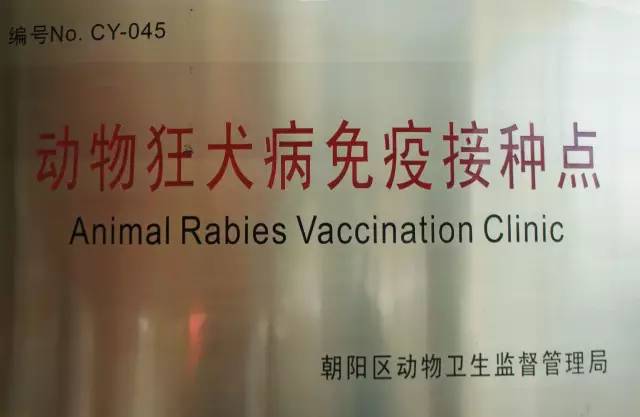 被宠物狗咬多久打针,被宠物狗咬成什么样才要打针