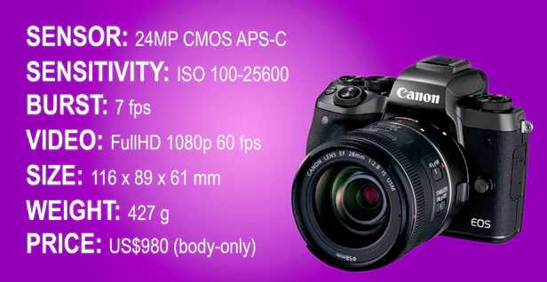 目前最好的全画幅微单相机排名,佳能无反相机与索尼微单怎么选择