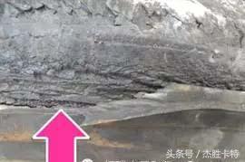 大车四轮定位仪对车辆有影响吗,四轮定位仪怎么看轮胎型号
