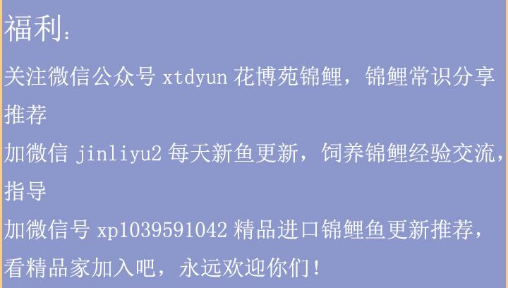 经验之谈生活感悟,高密度帆布池养鱼经验之谈