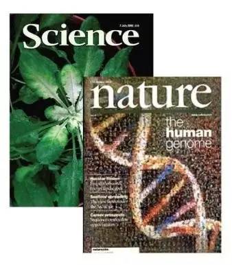 他被纳粹*害迫**，“玩拼图”玩出诺贝尔奖，打脸《Nature》