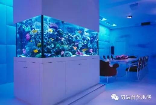 鱼缸摆放位置与属相,鱼缸的摆放位置以及风水影响