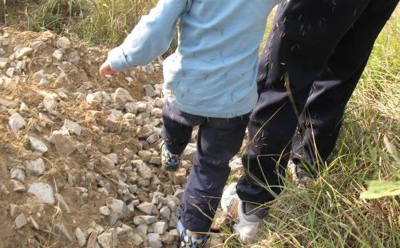 乡下粘人的草有哪些,粘人草有什么功效治什么病