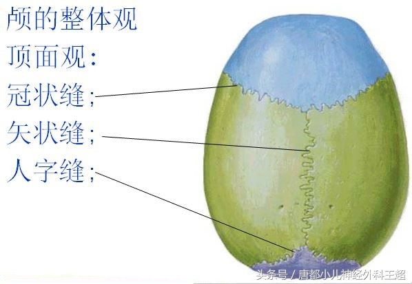 如何肯定是不是狭颅症,狭颅症是什么东西