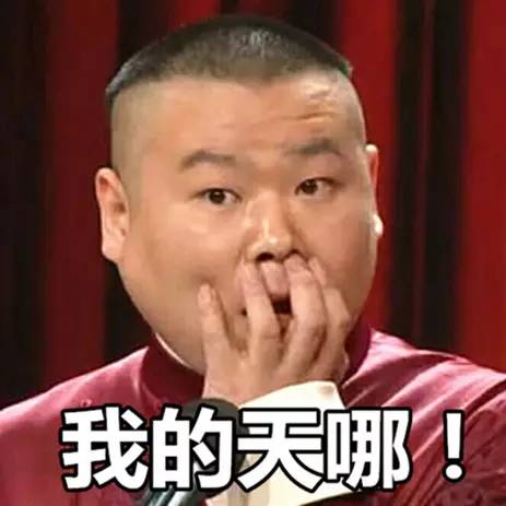 力哥说理财界最大的骗局,力哥说理财简介