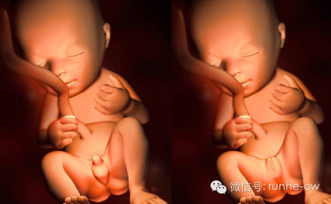 怀孕5月孕妇竟被要求引产，实情背后的真相让人心痛不已