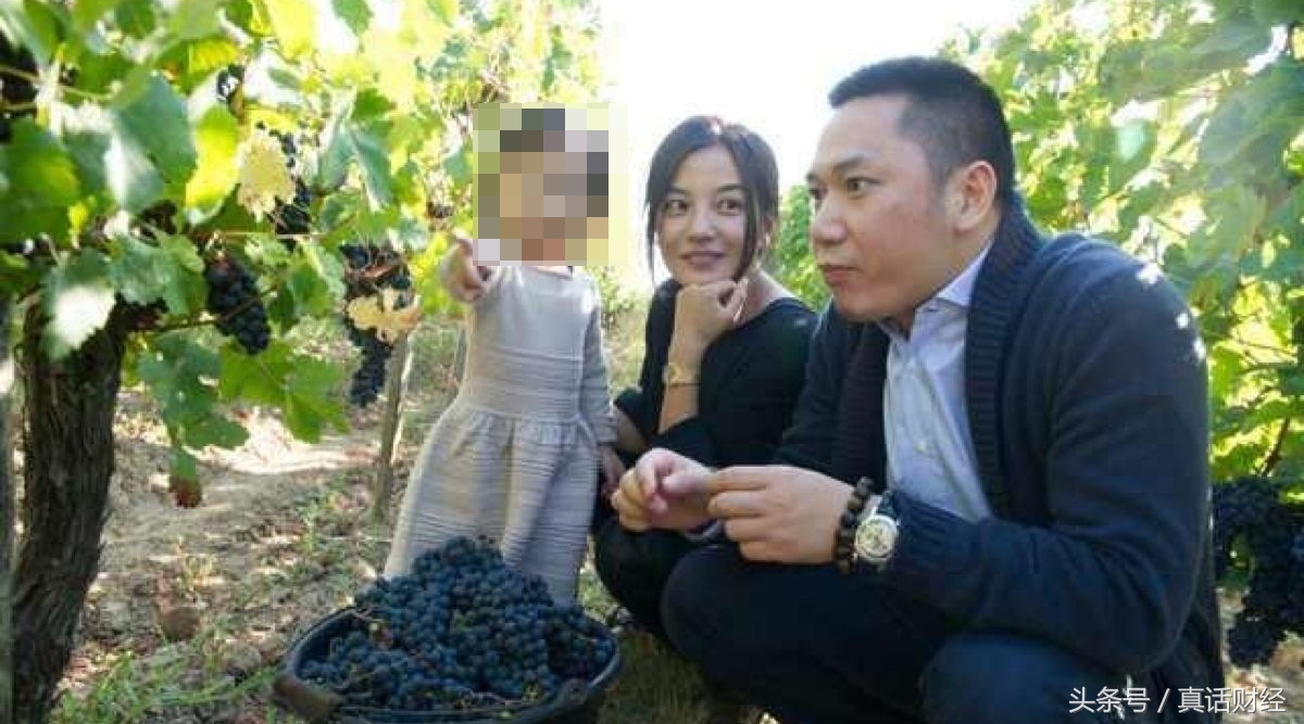 黄有龙赵薇事件的来龙去脉,黄有龙和赵薇财富