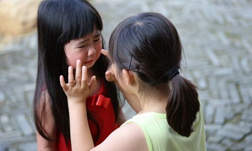 贝儿杨阳洋费曼摘菠萝,爸爸去哪儿贝儿杨阳洋费曼