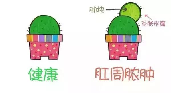 哪种菊花最苦,哪种菊花是苦的