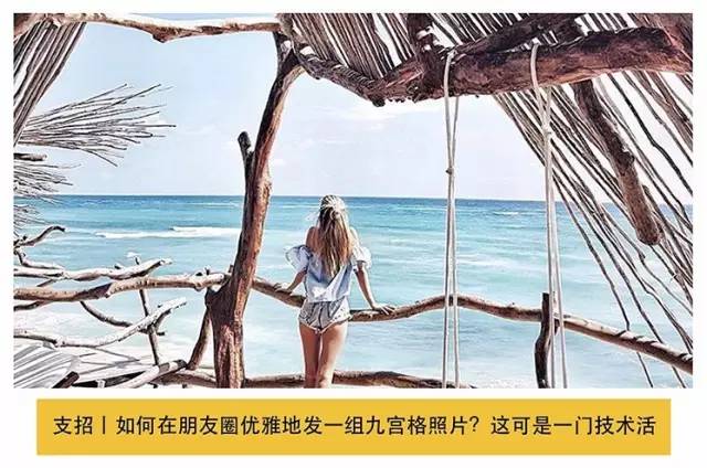有一个街头艺术家把一只猫涂遍了巴黎，后来它遍布了全世界