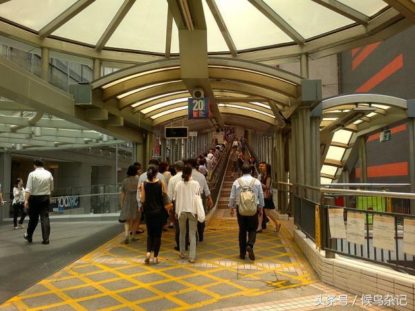 香港旅行攻略美食,香港旅行攻略美食购物