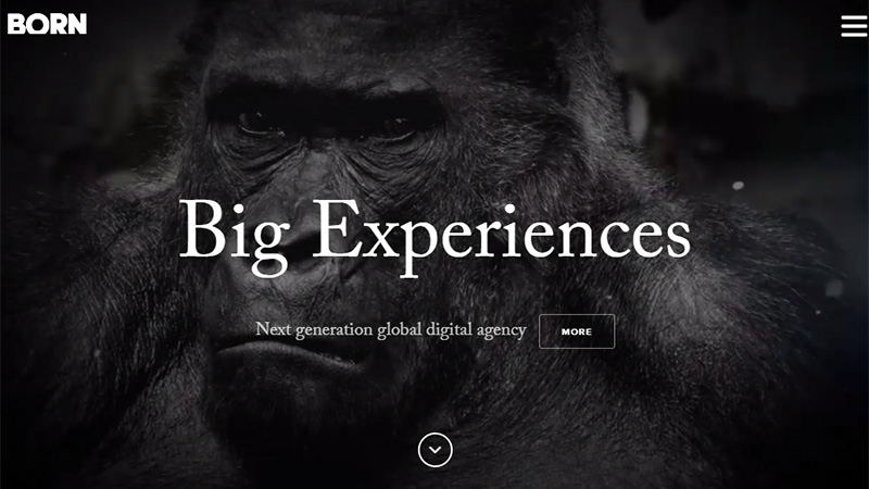 简洁大方的网页设计,单页网页设计案例