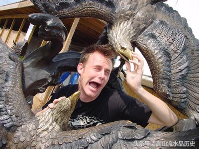 鸟类史上的壮举，为保家卫国同武装到牙齿的美军展开生死血战