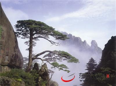 过年出去旅行推荐,新春出游首选