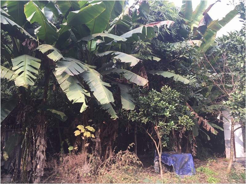 4个月9000元，三个90后把城里的破败院落，徒手改造成家理想的模样