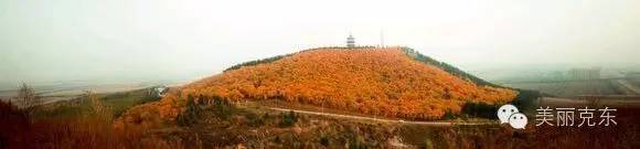 克东最近的视频,克东最新视频全集