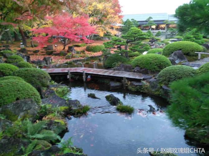 此由志园，非彼幼稚园