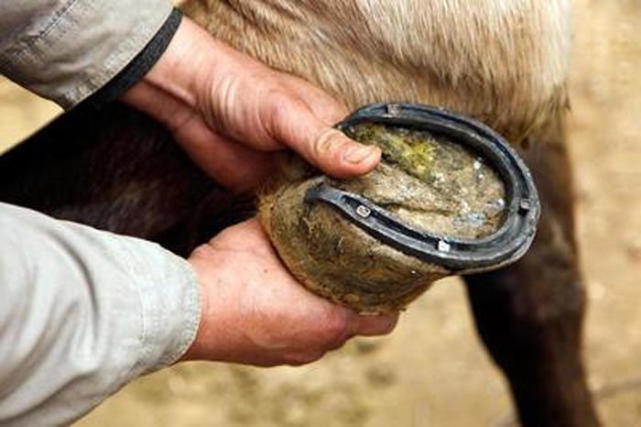 商朝灭亡的原因和事件,商朝灭亡的真实经历