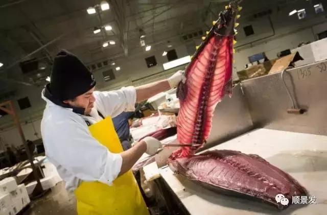 全球十大海鲜市场排名,全球大型海鲜批发市场