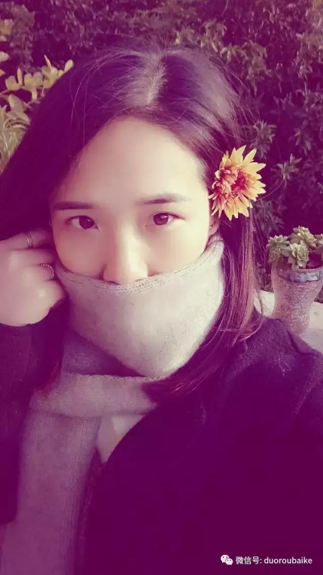 春天的多肉带给枯木新的生机，于是它们相爱了！