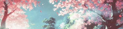 Romanceintheair，无法放弃的樱花粉
