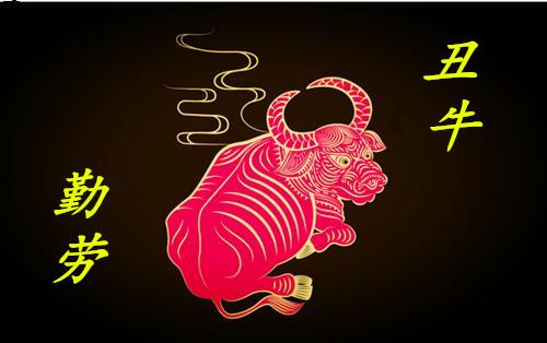 12生肖情感终极配对,12生肖婚姻最佳配对表大全