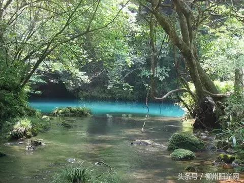 柳州附近农庄适合小孩玩,柳州周边农庄场地推荐