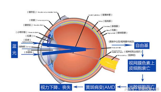 用“护眼模式”看手机一年后居然变成了这个样子！