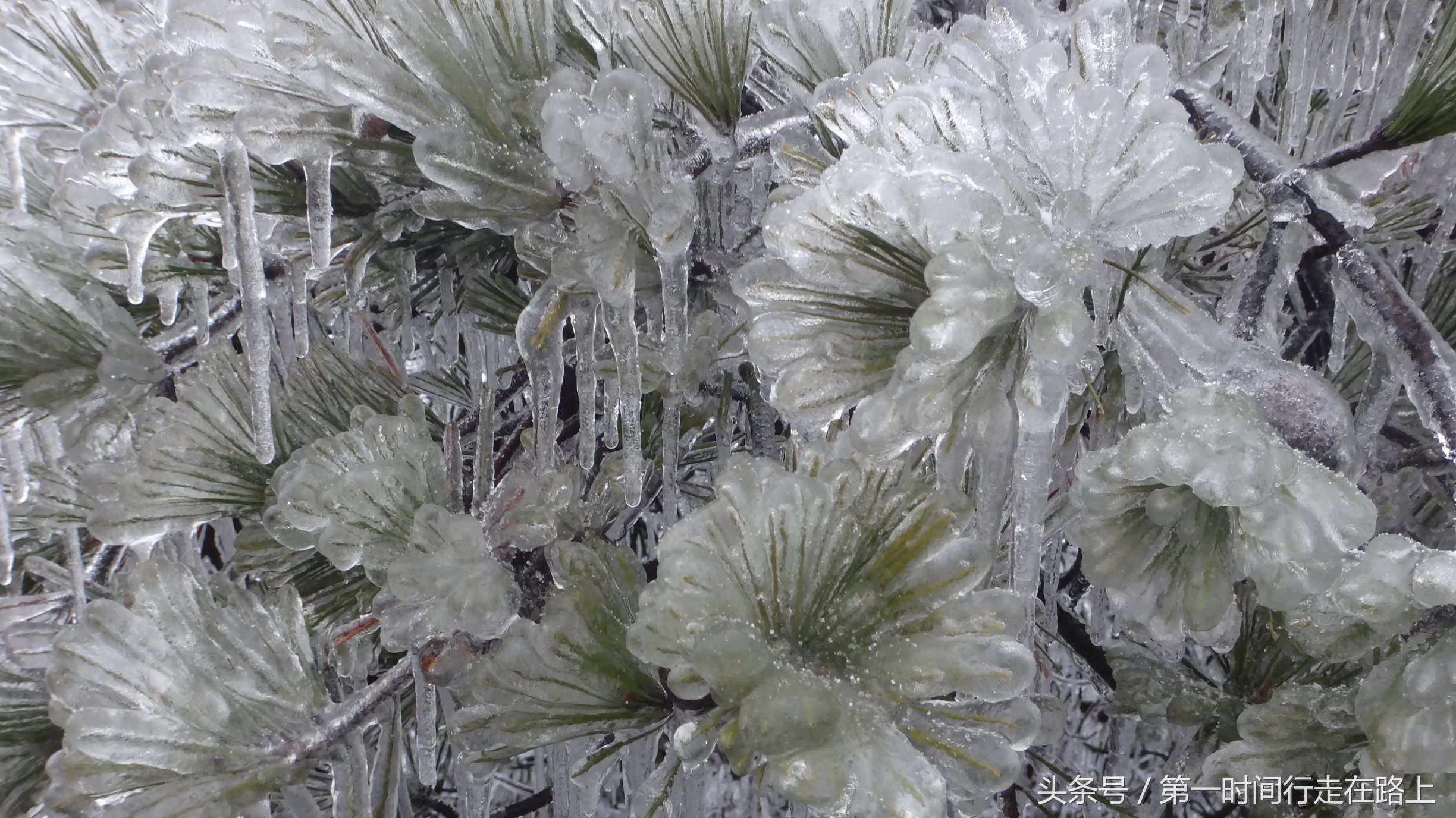 张家界浪漫之地,张家界最浪漫的婚纱