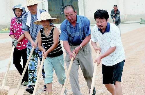 “本色”委员董配永的土地情结
