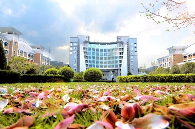 小学生一幅树叶画,秋天树叶图片卡通画