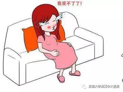 孕产妇得痔疮的原因,孕产妇痔疮