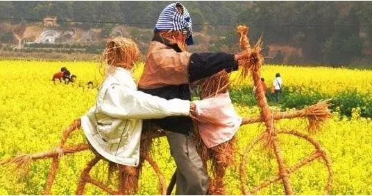 农业未来5年的商机,农业产能过剩带来的商机