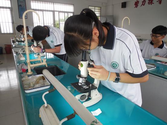 我们应该做一名怎样的医生,你想做什么样的医生